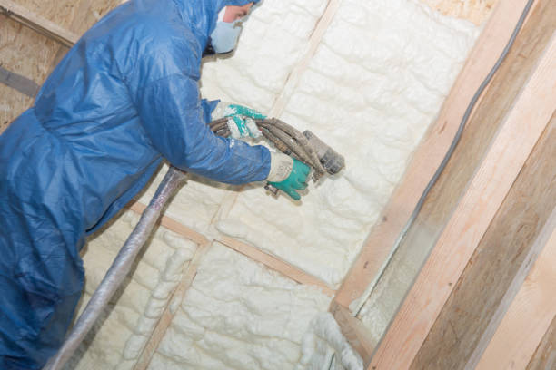 Eco-Friendly or Green Insulation Solutions in Atlantic Beach, NC